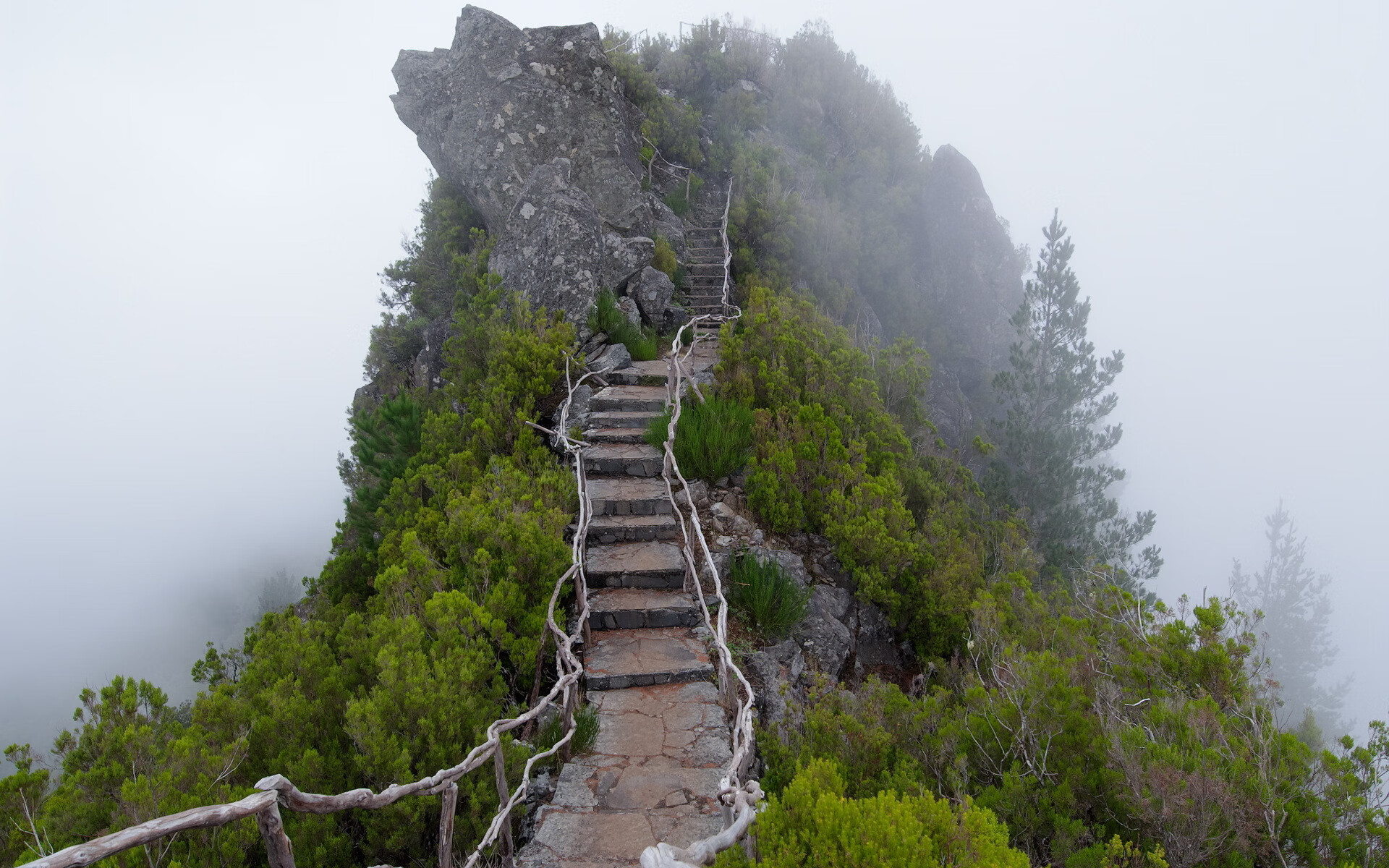 kaiyun-马略卡主场0-2不敌赫塔费，遭遇失利，马略卡足球俱乐部